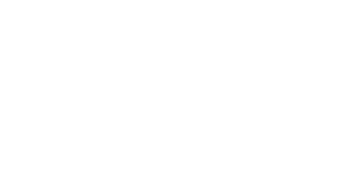 ONE DIGITAL EXPERIENCE